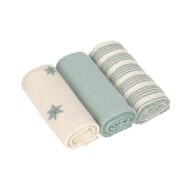 Langes tetras 3pc - 60x60cm - vert